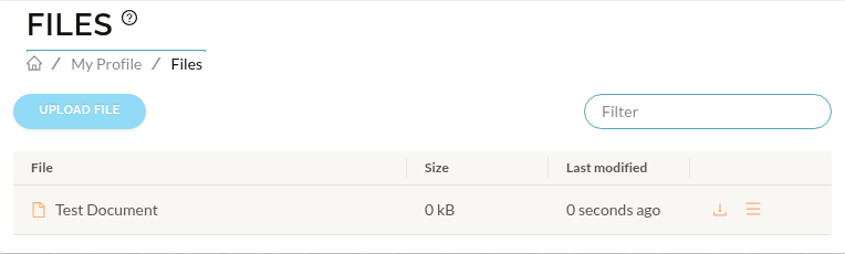 image of the my files homepage with new file added